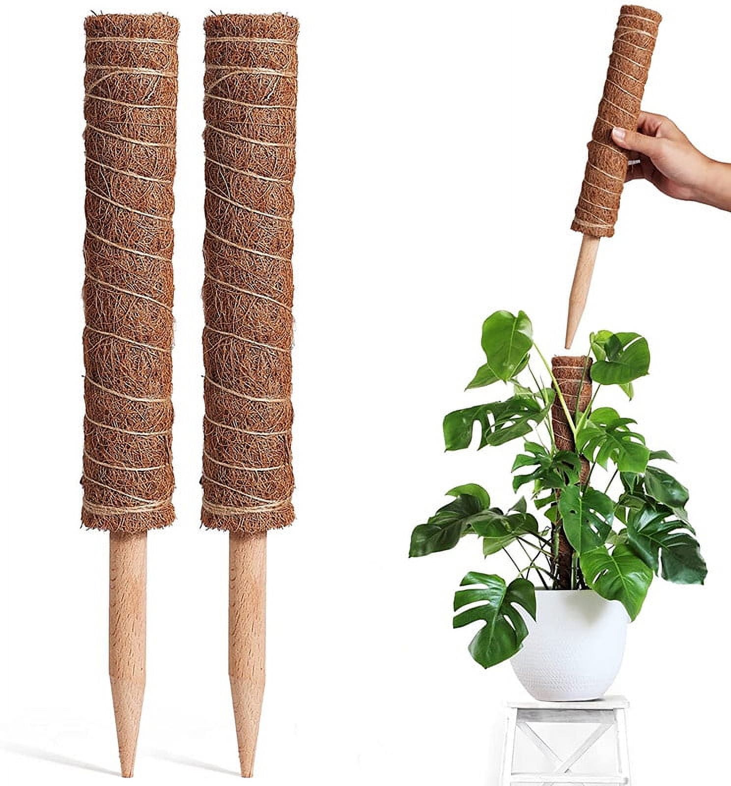 Triani Moss Pole for Plants Monstera 2 Pack 27 Inch Moss Poles for Climbing Plants, Moss