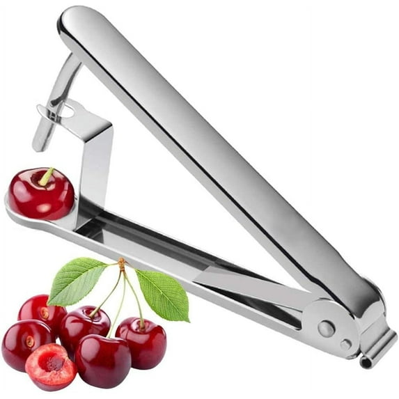 Trianu 2 Pcs Cherry Pitter Tools Cherries Corer Pitter Tool Stainless Steel Fruit Pit Remover for Cherry Jam, SIlver