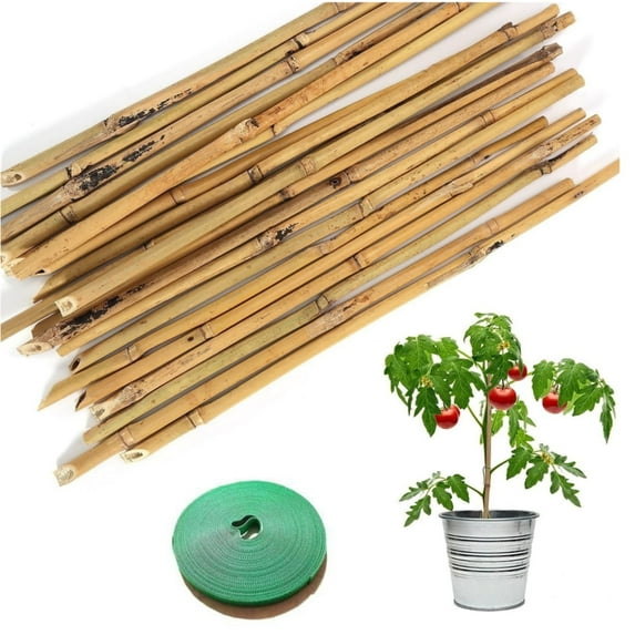 Trianu 20 Pack Plant Stakes, 18 inch Natural Garden Bamboo Sticks, Plant Support Stakes with Green Ties for Tomatoes, Beans, Vegetable and Potted Plants