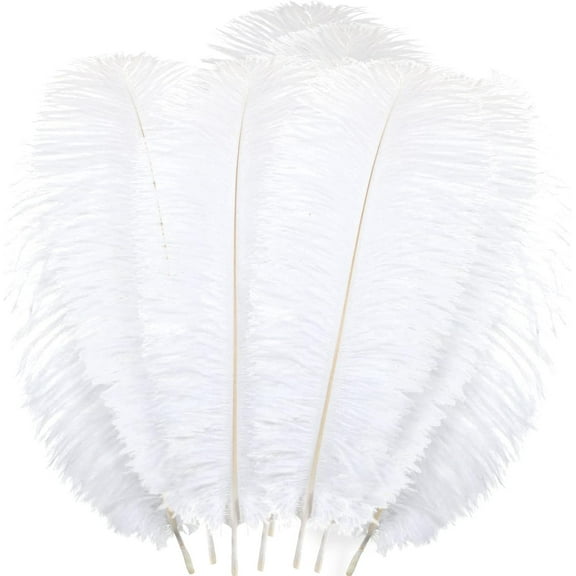 Trianu 20 Pcs White Feathers for Crafts Wedding Party Centerpieces Christmas Tree Decoration Feathers, 25-30cm