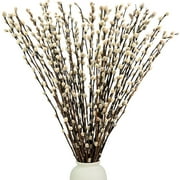 Trianu 20Pcs Charming Pussy Willow Branches for Vases - 15.7inch Natural Dried Pussy Willows for Vase Decor Fillers & Decorative Branches