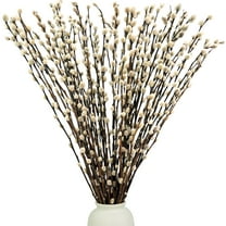 Trianu 20Pcs Charming Pussy Willow Branches for Vases - 15.7inch Natural Dried Pussy Willows for Vase Decor Fillers & Decorative Branches