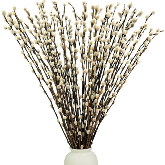 Trianu 20Pcs Charming Pussy Willow Branches for Vases - 15.7inch Natural Dried Pussy Willows for Vase Decor Fillers & Decorative Branches