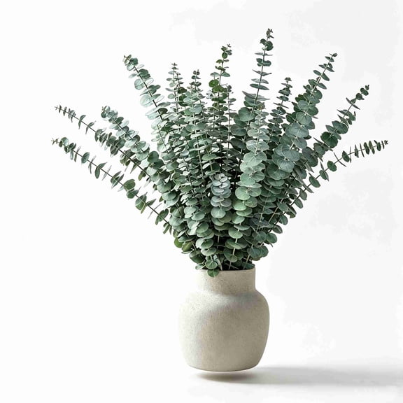 Trianu 20Pcs Dried Eucalyptus Bundle 17'' Real Eucalyptus Stems - 100% Natural Fresh Eucalyptus Leaves Greenery Stems for Shower Home Decor Flower Arrangement and Wedding