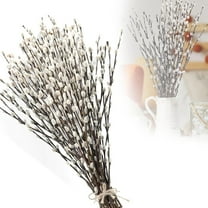 Trianu 20Pcs Real Dried Pussy Willow Branches, 15.7" White Pussy Willows Snow willlows Dried Flowers Pussywillow for Home Decorations, Wedding, Fireplace Yard