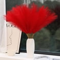 thumbnail image 1 of Trianu 30 Pcs Red Pampas Grass Decor 17.7 inch Short Artificial Pampas Grass Decor, Fake Pompas Floral for Vase Filler, Wedding Flower Arrangement, Party and Home Decor, 1 of 6