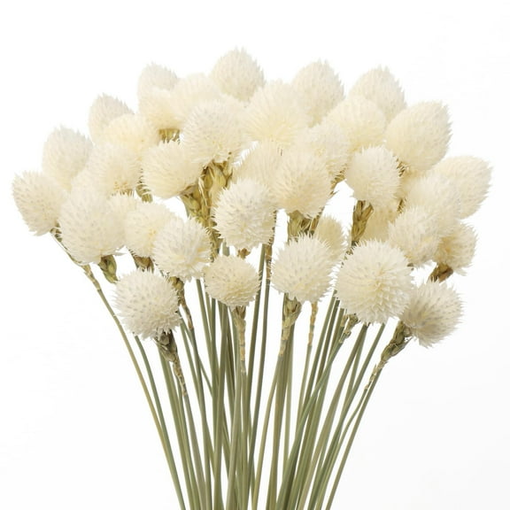 Trianu 30Pcs Dried Globe Amaranth Flower with Wheat Straw Bouquet for Vase Home Decor Party DIY Arrangement (White, 15.7inch/40cm)