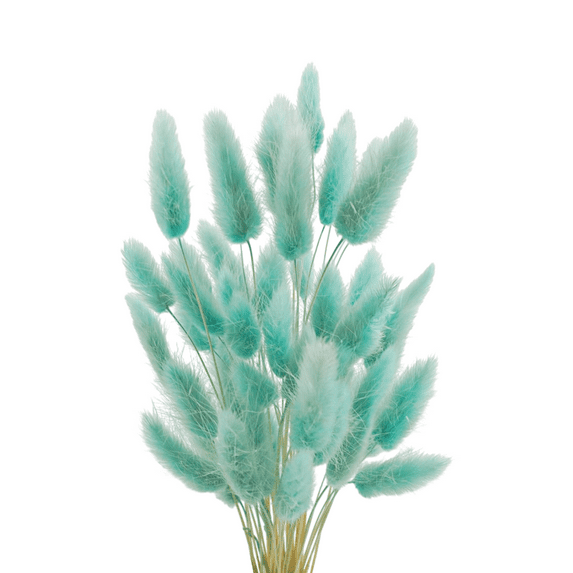 Trianu 60 Pcs 15.7" Bunny Tails Dried Flowers Pampas Grass Natural Rabbit Tail Grass Dry Floral Arrangement for Farmhouse, Wedding and Birthday Party Decoration, Blue