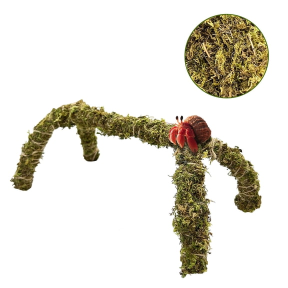 Trianu Hermit Crab Climbing Toys, 12inch Ideal Hermit Crab Habitat Tank Accessories, Adjustable Hermit Crab Supplies