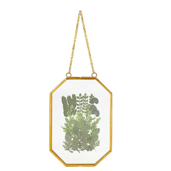 Trianu Wall Hanging Gold Brass Photo Frame, 4" x 6" Clear Floating Octagon Geometric Herbarium Glass Frame for Dried Flowers, Pressed Flowers, Plants , Specimen Picture Frame Modern Home Decor