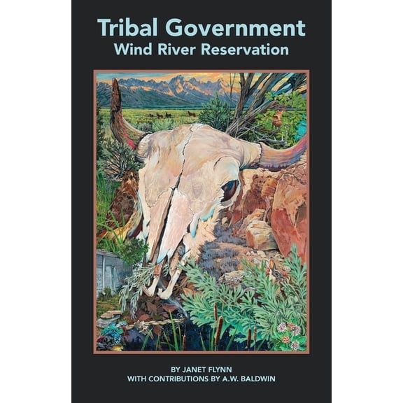 Tribal Government: Wind River Reservation, (Paperback)