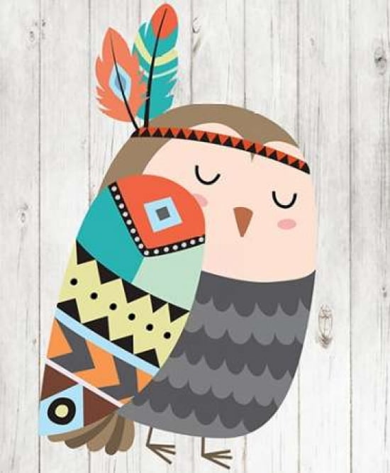 Tribal Owl Canvas Art - Tamara Robinson (20X24)