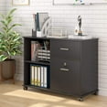 thumbnail image 1 of Tribesigns 2-Drawer File Cabinet, Mobile Lateral Filing Cabinet with Lock and Wheels, Storage Cabinet Pinter Stand with 2 Open Shelves for Home Office, 1 of 7