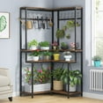 thumbnail image 1 of Tribesigns 4-Tier Large Corner Plant Shelves with 15 S-shaped Hanging Hooks, Rustic Brown Tall Plant Stand Shelf for Living Room Patio, 1 of 5