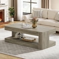 thumbnail image 1 of Tribesigns Coffee Table for Living Room, 47.24-Inch Farmhouse 2-Tier Accent Center Tea Cocktail Table with Storage, Elegant Grey, Rectangular, 1 of 9