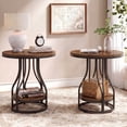 thumbnail image 1 of Tribesigns 2-Tier Round Side Table, Industrial End Table Bedside Table with Metal Frame & Open Shelf for Couch Side, Living Room (2PCS, Brown & Black), 1 of 5