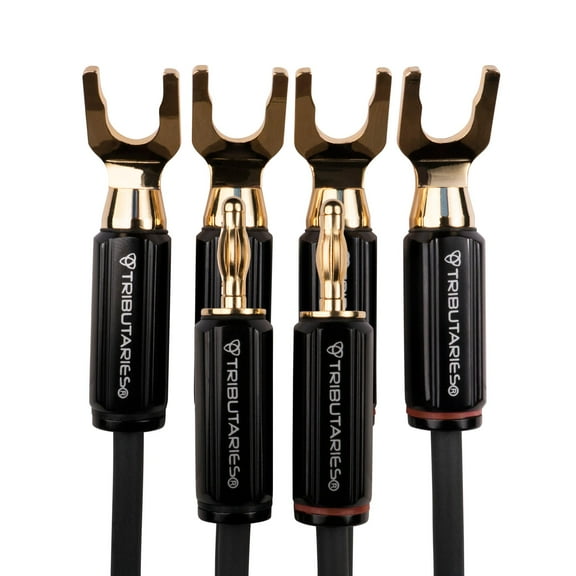 Tributaries 4BW-B-060D 6 Foot Series 4 Star-Quad Bi-Wire Speaker cable