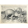 thumbnail image 1 of Triceratops Prorsus Poster Print By ® Florilegius Mary Evans (24 X 18), 1 of 3