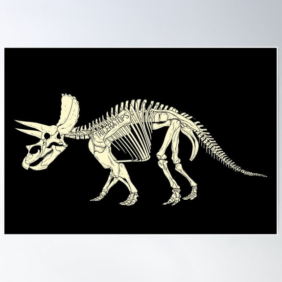 Triceratops Skeleton Poster Wall Art, Modern Wall Decor For Living Room Bedroom, 12x18 UNFRAMED