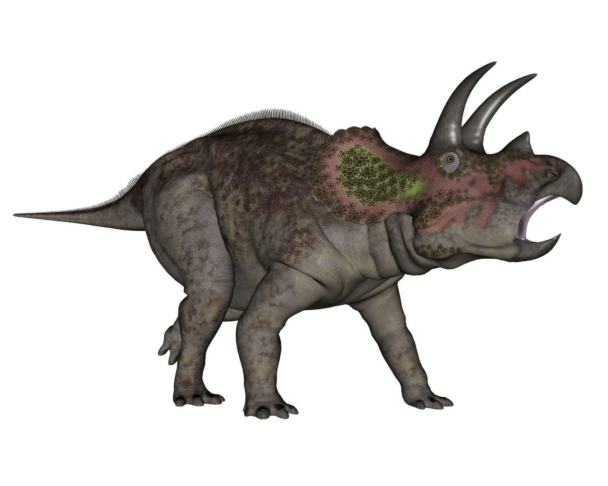 Triceratops dinosaur Canvas Art - Elena DuvernayStocktrek Images (32 x 26)