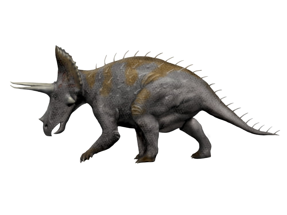 Triceratops dinosaur Canvas Art - Nobumichi TamuraStocktrek Images (17 x 13)