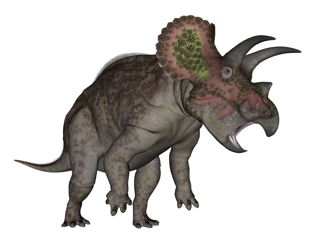 Triceratops dinosaur standing up Canvas Art - Elena DuvernayStocktrek Images (32 x 26)