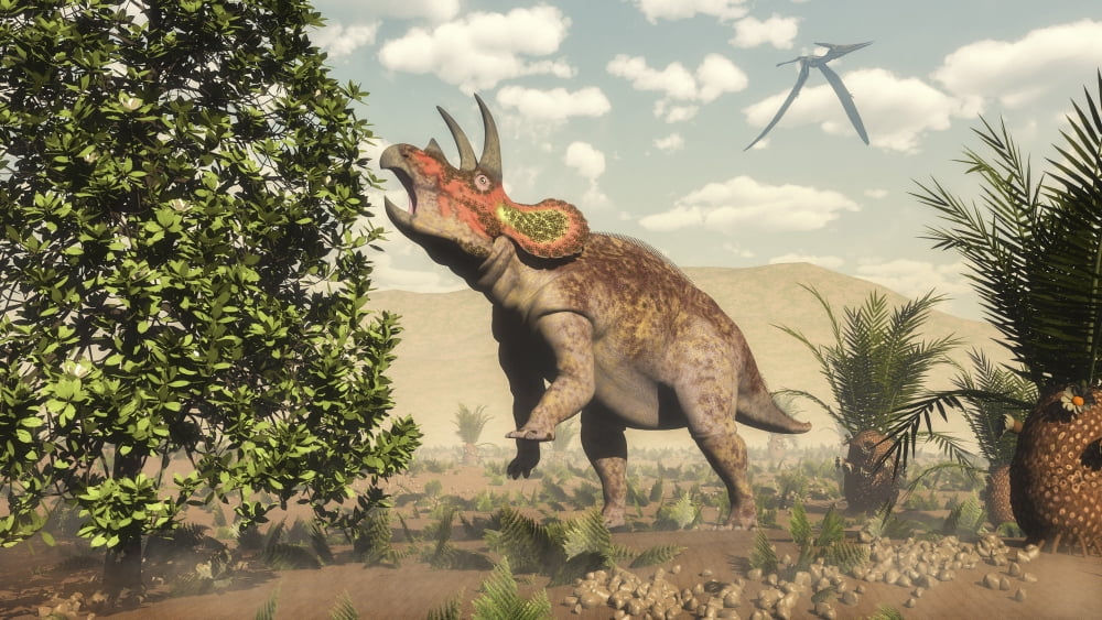 Triceratops grazing on a magnolia tree Canvas Art - Elena DuvernayStocktrek Images (37 x 21)