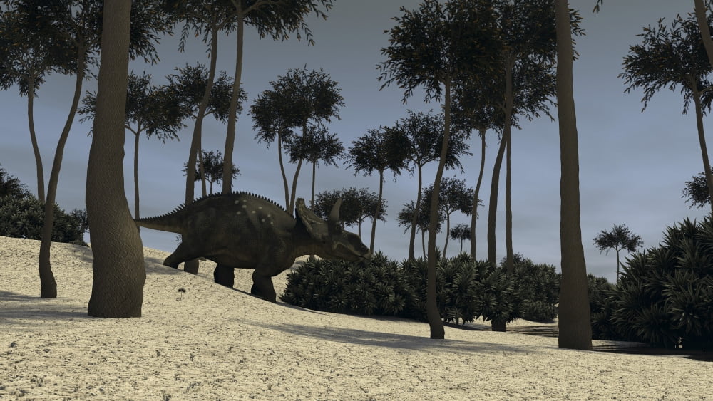 Triceratops in a prehistoric environment Canvas Art - Kostyantyn IvanyshenStocktrek Images (19 x 11)