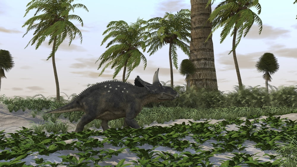 Triceratops in a prehistoric environment Canvas Art - Kostyantyn IvanyshenStocktrek Images (38 x 22)