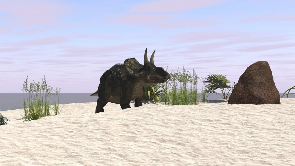 Triceratops on a beach Canvas Art - Kostyantyn IvanyshenStocktrek Images (38 x 22)