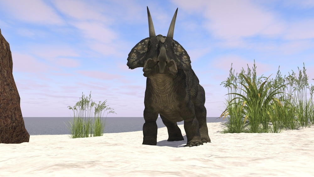 Triceratops on a beach Canvas Art - Kostyantyn IvanyshenStocktrek Images (38 x 22)