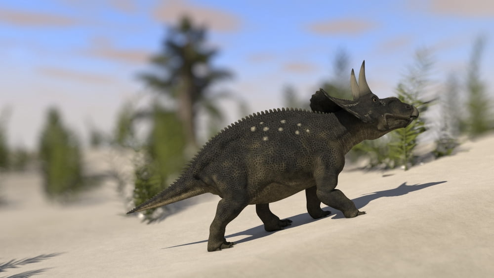 Triceratops roaming a prehistoric landscape Canvas Art - Kostyantyn IvanyshenStocktrek Images (38 x 22)