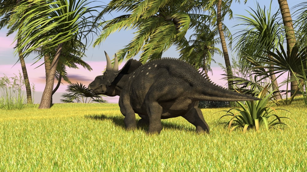 Triceratops roaming a tropical environment Canvas Art - Kostyantyn IvanyshenStocktrek Images (19 x 11)
