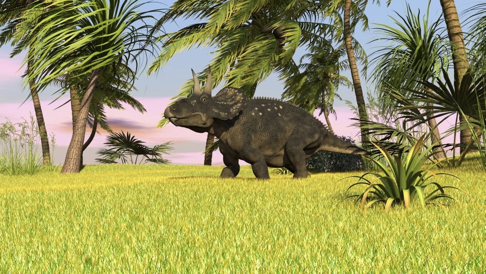 Triceratops roaming a tropical environment Canvas Art - Kostyantyn IvanyshenStocktrek Images (19 x 11)