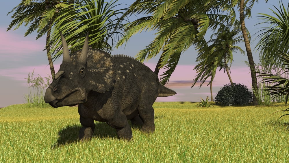 Triceratops roaming a tropical environment Canvas Art - Kostyantyn IvanyshenStocktrek Images (19 x 11)