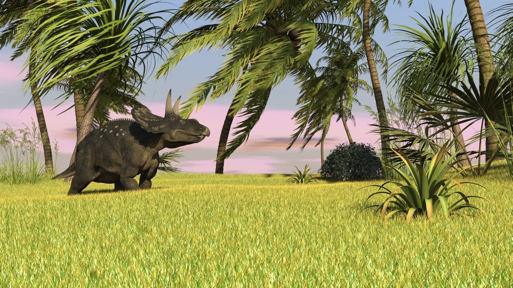 Triceratops roaming a tropical environment Canvas Art - Kostyantyn IvanyshenStocktrek Images (38 x 22)