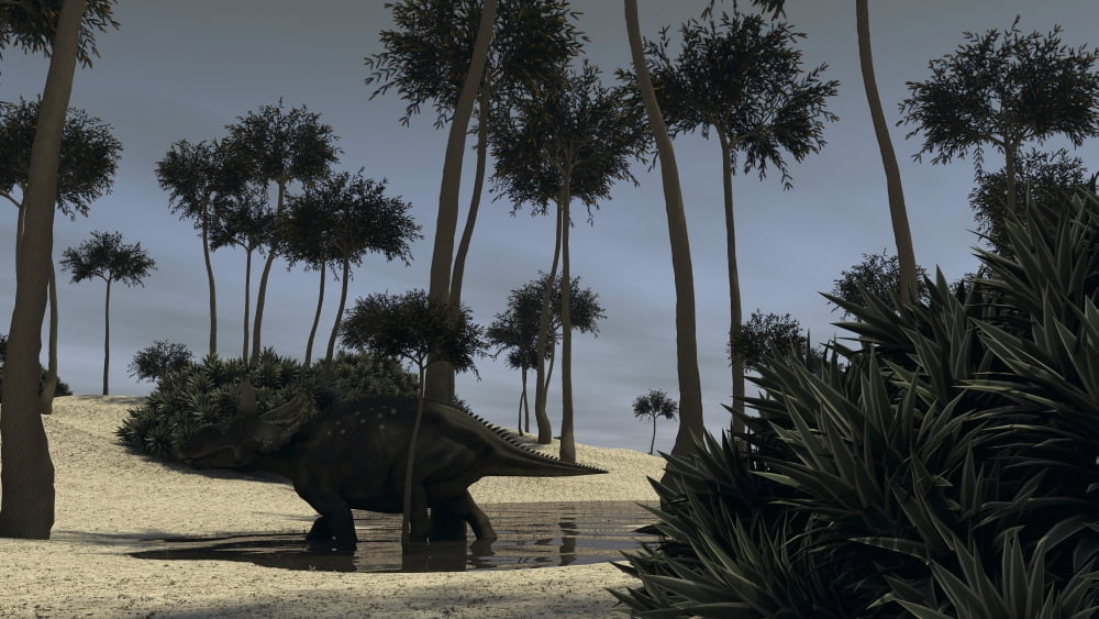 Triceratops roaming in a riverbed of a prehistoric environment Canvas Art - Kostyantyn IvanyshenStocktrek Images (38 x 22)