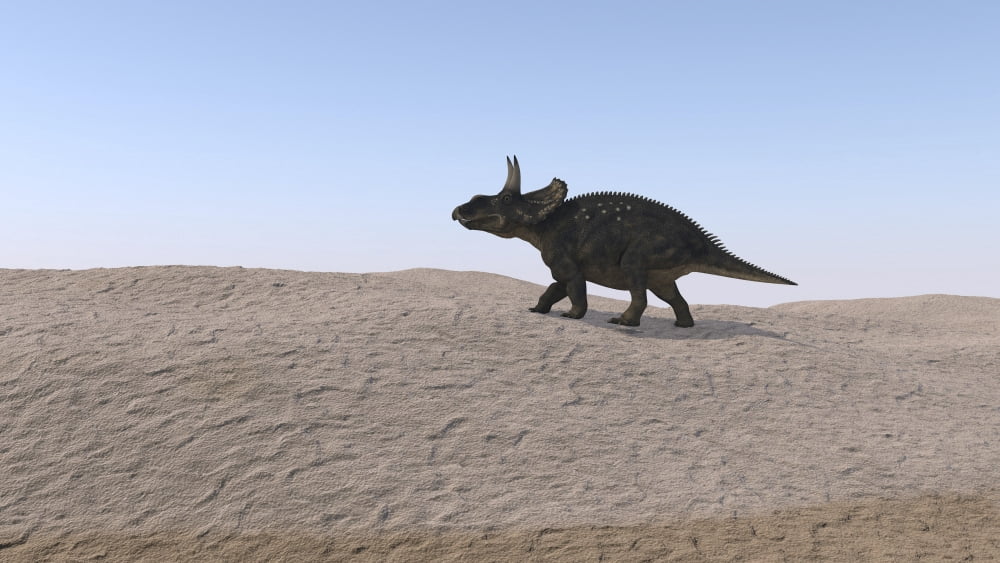 Triceratops walking across a barren landscape Canvas Art - Kostyantyn IvanyshenStocktrek Images (19 x 11)