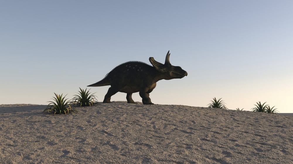 Triceratops walking across a barren landscape Canvas Art - Kostyantyn IvanyshenStocktrek Images (38 x 22)