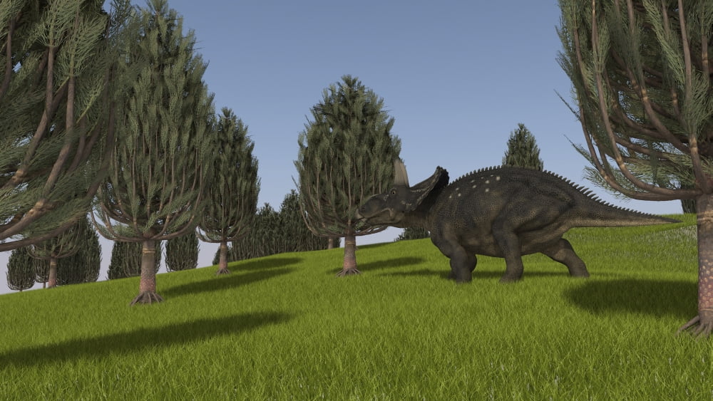 Triceratops walking across a grassy field Canvas Art - Kostyantyn IvanyshenStocktrek Images (19 x 11)