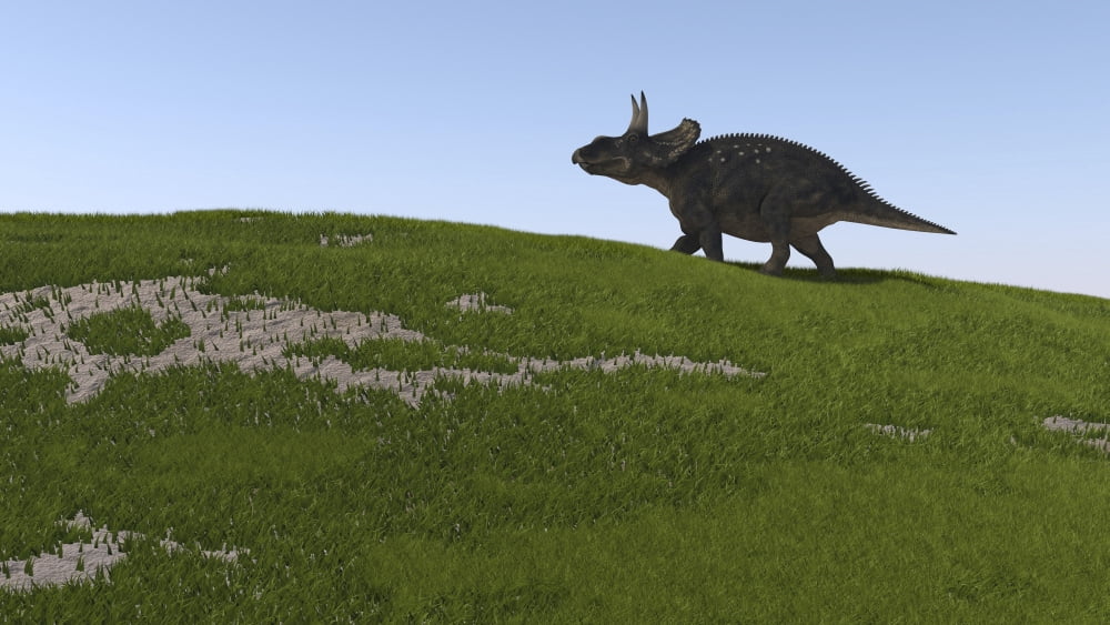 Triceratops walking across a grassy field Canvas Art - Kostyantyn IvanyshenStocktrek Images (38 x 22)