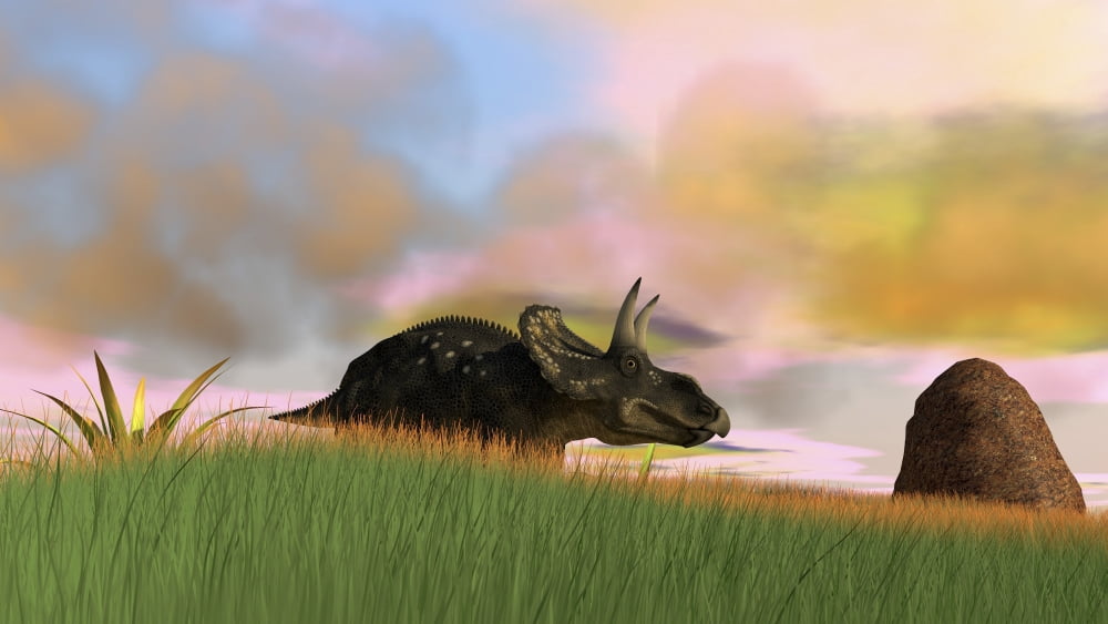 Triceratops walking across a grassy field Canvas Art - Kostyantyn IvanyshenStocktrek Images (38 x 22)