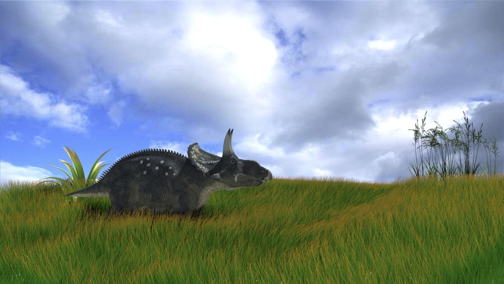 Triceratops walking across prehistoric grasslands Canvas Art - Kostyantyn IvanyshenStocktrek Images (38 x 22)