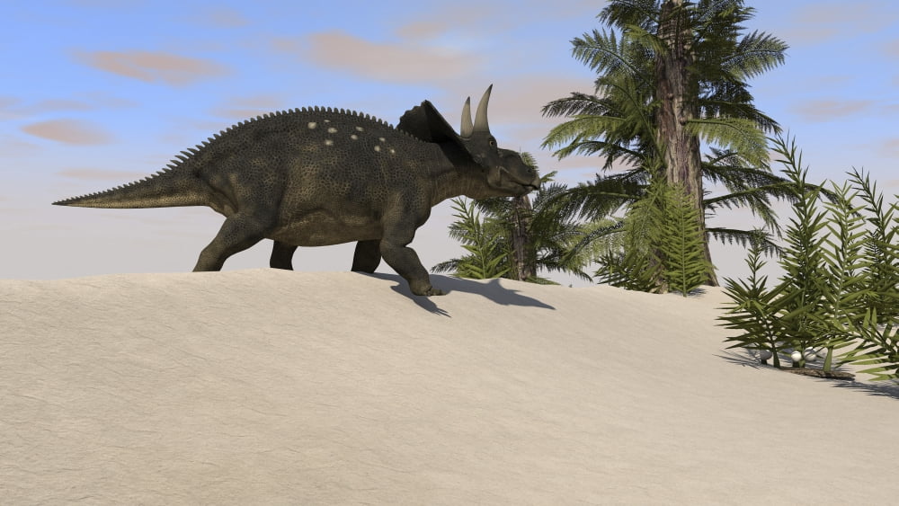 Triceratops walking along a prehistoric landscape Canvas Art - Kostyantyn IvanyshenStocktrek Images (38 x 22)