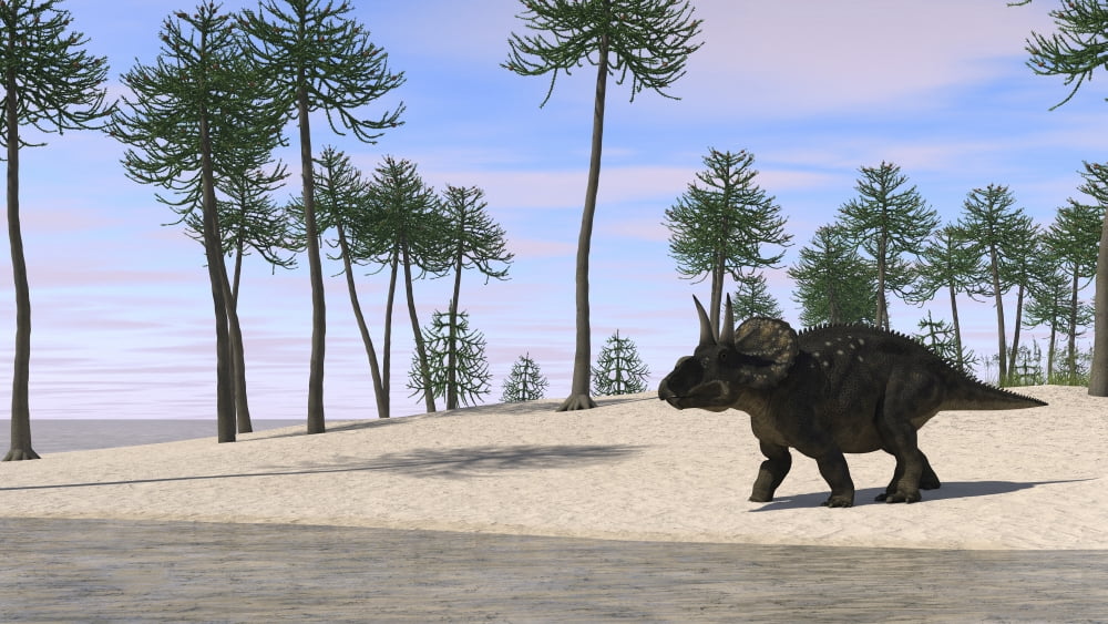 Triceratops walking along the shoreline Canvas Art - Kostyantyn IvanyshenStocktrek Images (38 x 22)