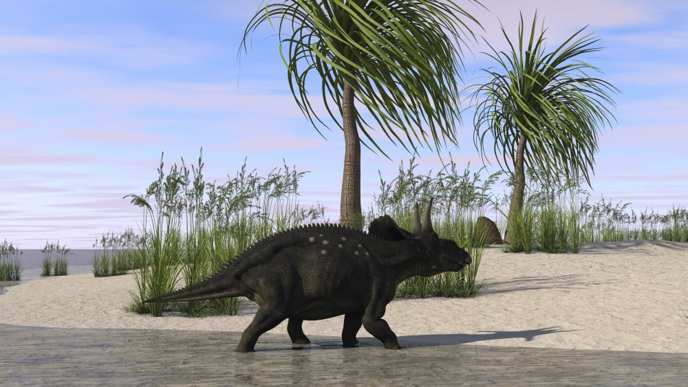 Triceratops walking along the shoreline Canvas Art - Kostyantyn IvanyshenStocktrek Images (38 x 22)