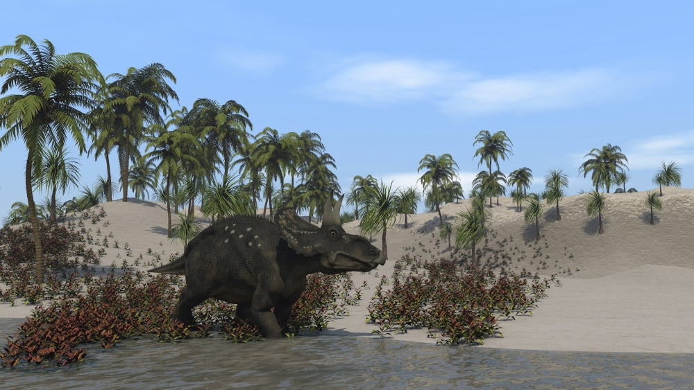 Triceratops walking along the shoreline Canvas Art - Kostyantyn IvanyshenStocktrek Images (38 x 22)