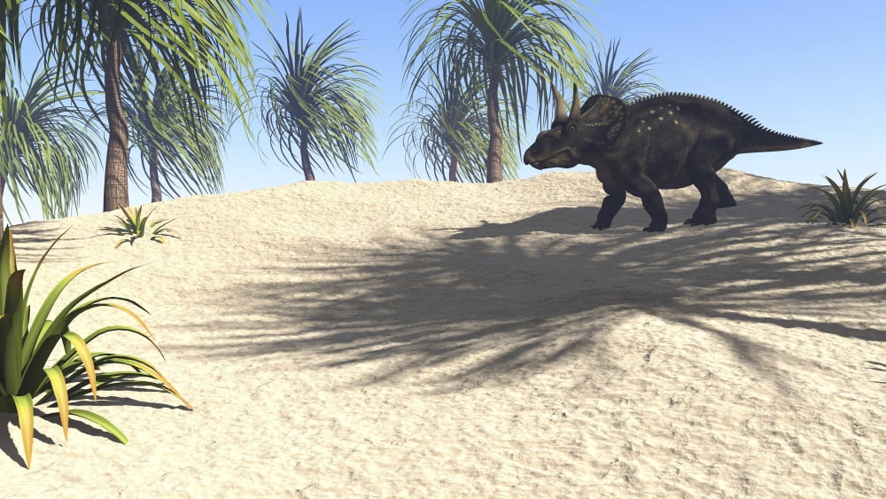 Triceratops walking in a tropical environment Canvas Art - Kostyantyn IvanyshenStocktrek Images (19 x 11)