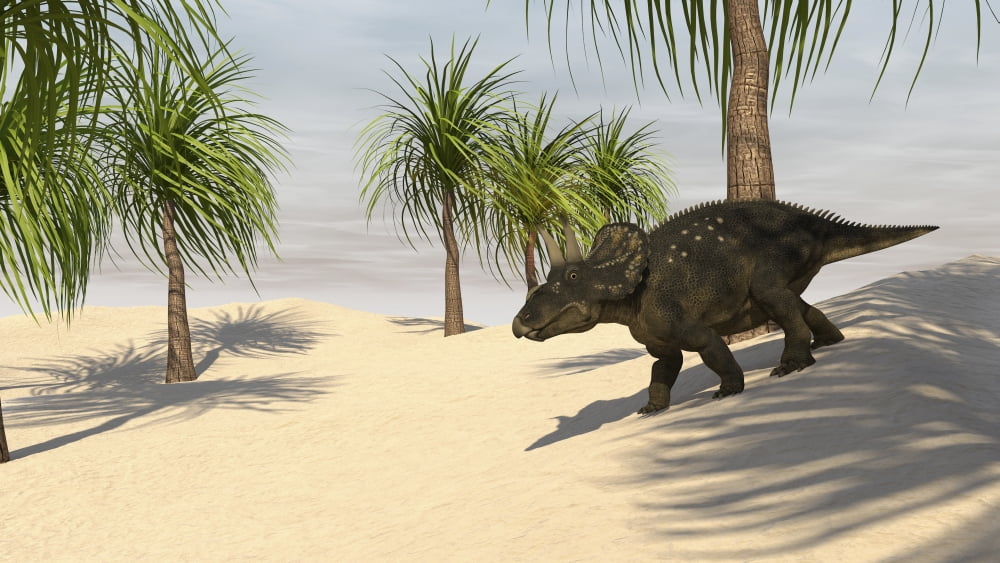 Triceratops walking in a tropical environment Canvas Art - Kostyantyn IvanyshenStocktrek Images (19 x 11)