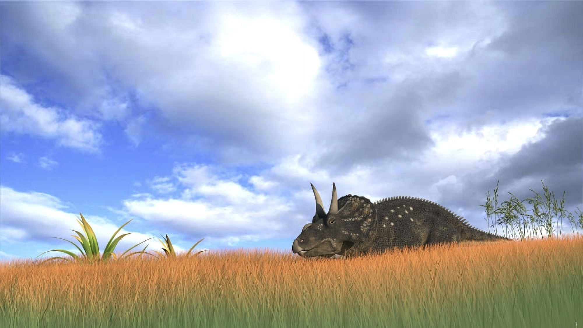 Triceratops walking through tall grass Canvas Art - Kostyantyn IvanyshenStocktrek Images (38 x 22)